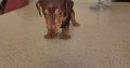 Miniature Dachshund puppies