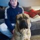 Beautiful bullmastiff puppies for sale