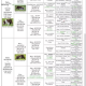 Border Collie Pups for Sale in Kilkenny