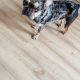 French Bulldog for Stud in Ireland – IKC Registered
