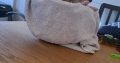 Chihuahuas for Sale in Wexford Town – IKC Registered