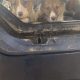 Collie Puppies for Sale in Cavan – Active & Playful