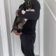 Mastiff Puppies for Sale in Dublin – IKC Registered