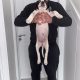 Mastiff Puppies for Sale in Dublin – IKC Registered