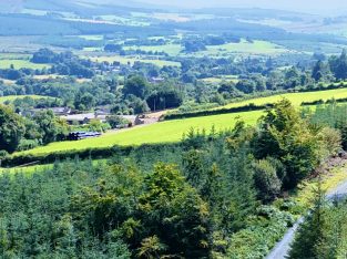 Pomeranian Cockapoo mix