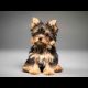 Yorkshire terrier puppies girls miniature