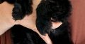 Beautiful cockapoo puppies looking for there forever home