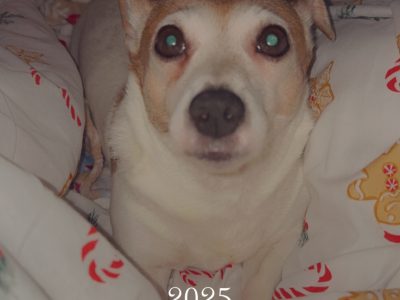 Rehoming