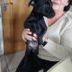 Rehome pup