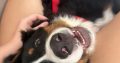 6 month old pup looking for a loving home
