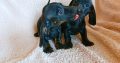 Purebred Dachshund Puppies For Sale