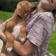 Rhodesian ridgeback puppies